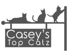 Casey top catz Australia